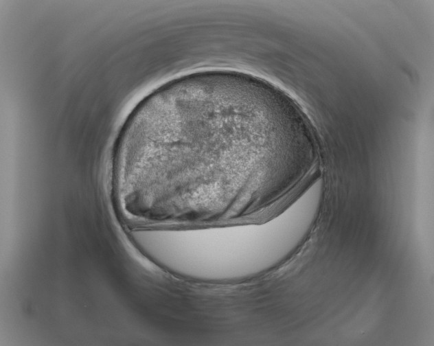 X0000114431519200911061632