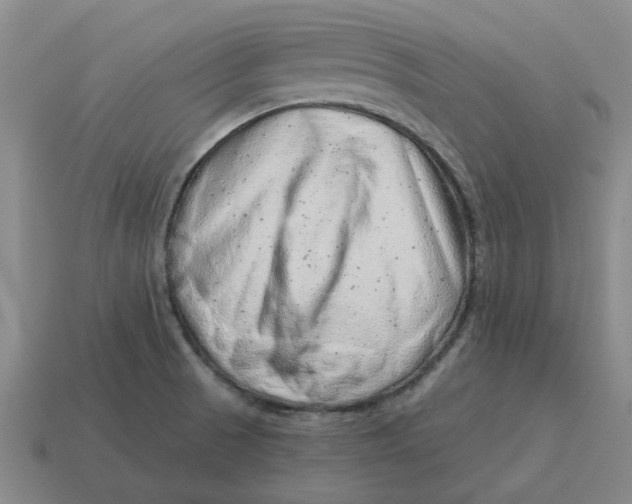 X0000114431521200911061632