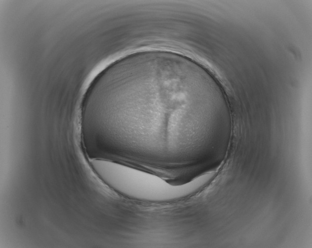 X0000114431522200911061632