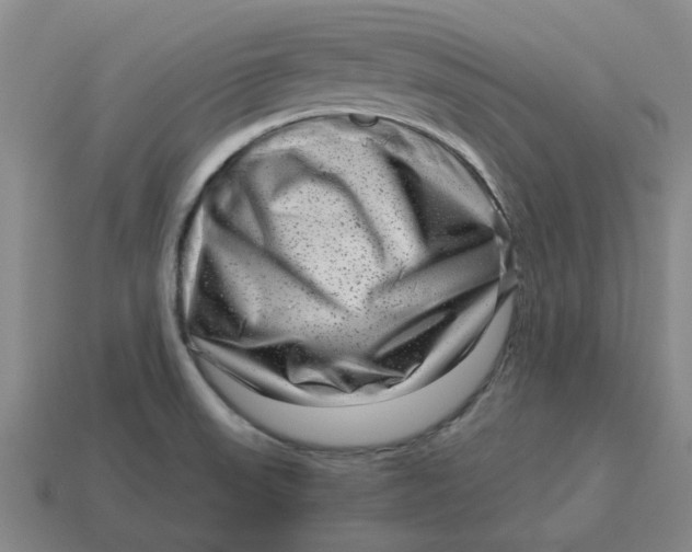 X0000114431523200911061632