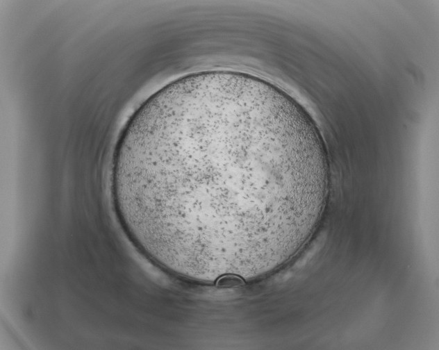 X0000114431525200911061632