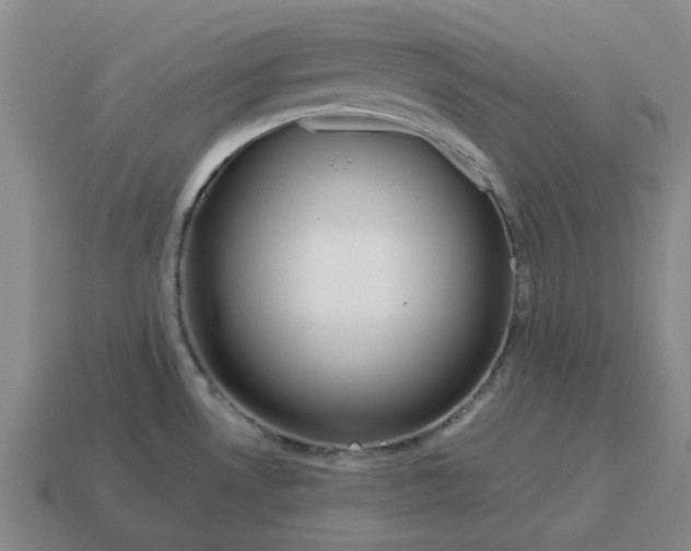 X0000114431530200911061632