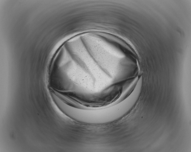 X0000114431531200911061632