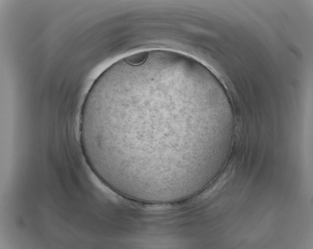 X0000114431535200911061633