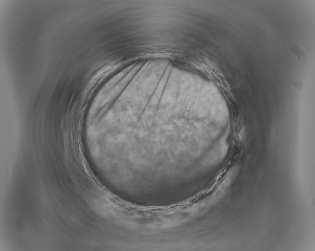 X0000114430001200911131341