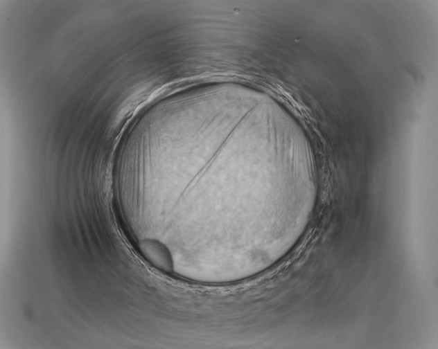 X0000114430002200911131341