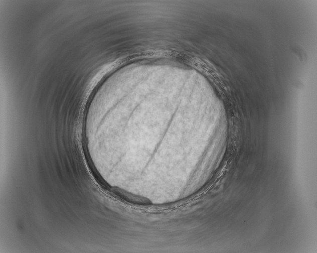 X0000114430003200911131341