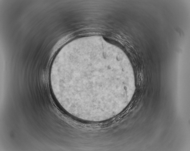 X0000114430004200911131341