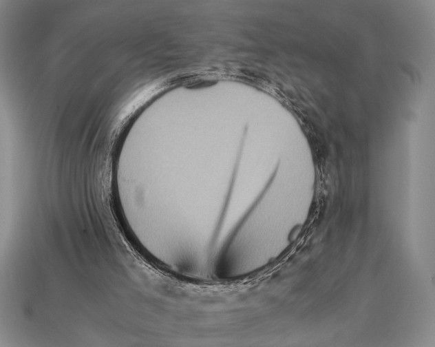 X0000114430005200911131341