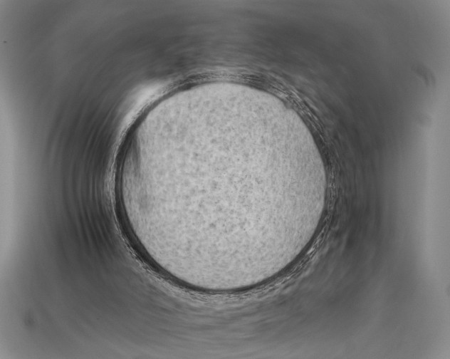 X0000114430006200911131341