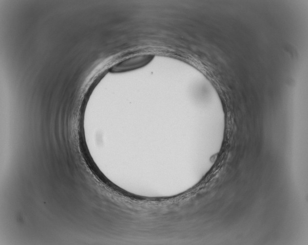 X0000114430007200911131341