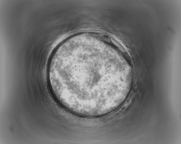 X0000114430008200911131341