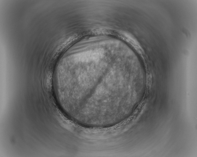 X0000114430009200911131341