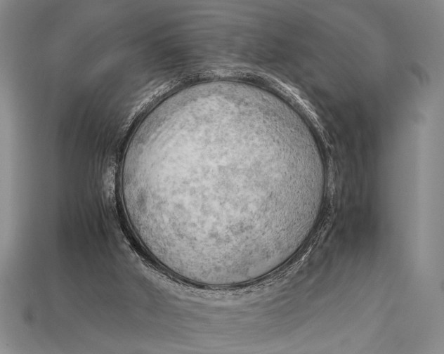 X0000114430010200911131341