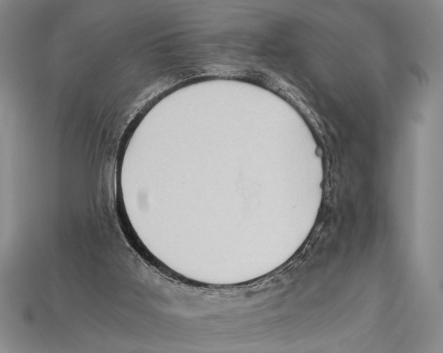 X0000114430011200911131341