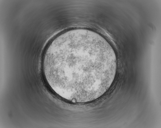 X0000114430012200911131341