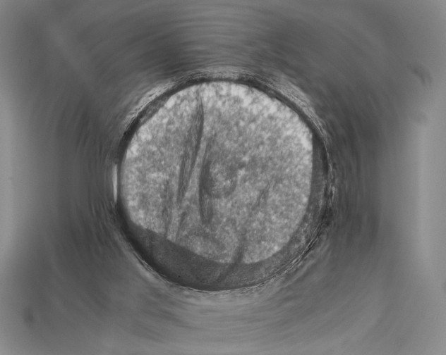 X0000114430013200911131341