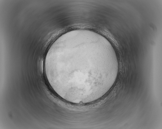 X0000114430014200911131341