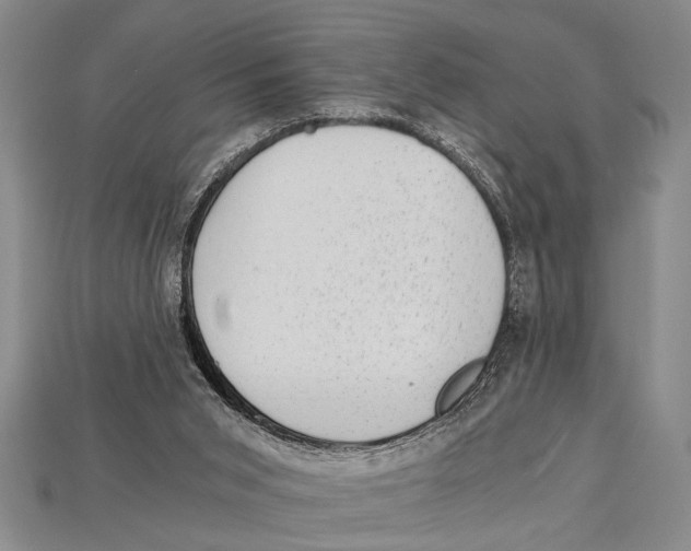 X0000114430015200911131341