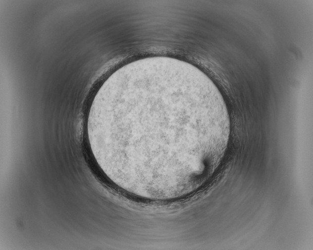 X0000114430016200911131341