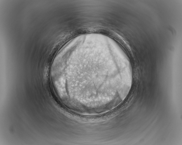 X0000114430018200911131341