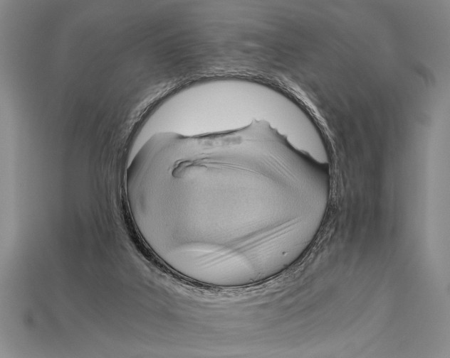 X0000114430019200911131341