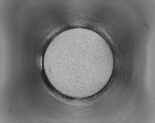 X0000114430020200911131341