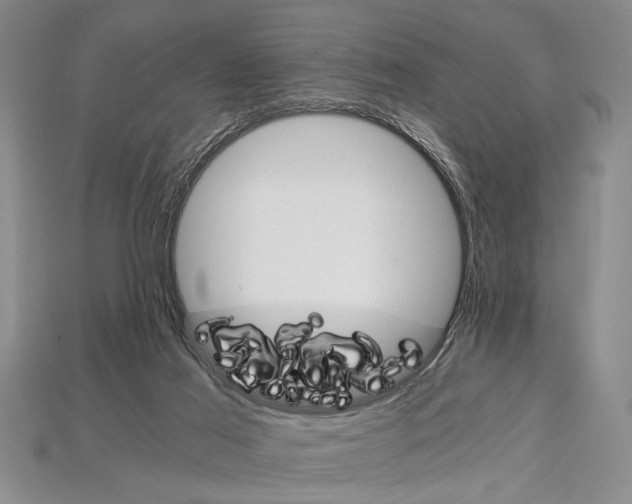 X0000114430021200911131341