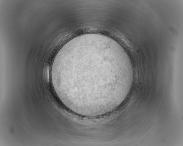 X0000114430022200911131341