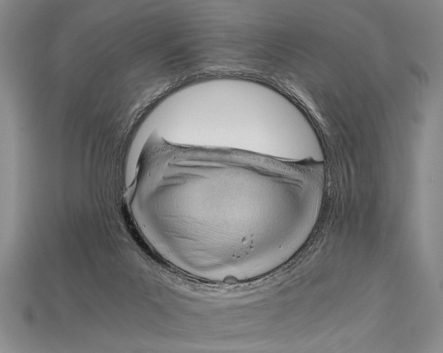 X0000114430023200911131341