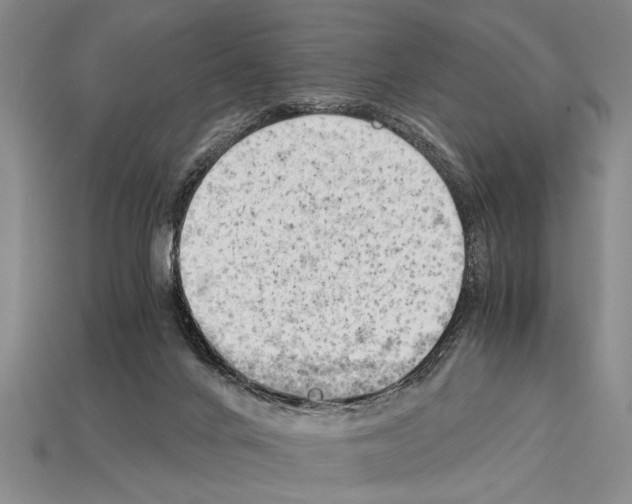 X0000114430024200911131341