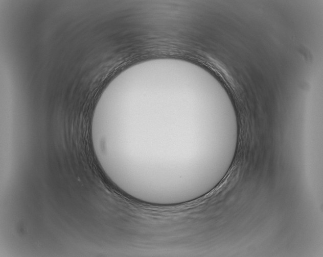 X0000114430025200911131341