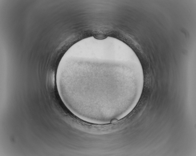 X0000114430027200911131341