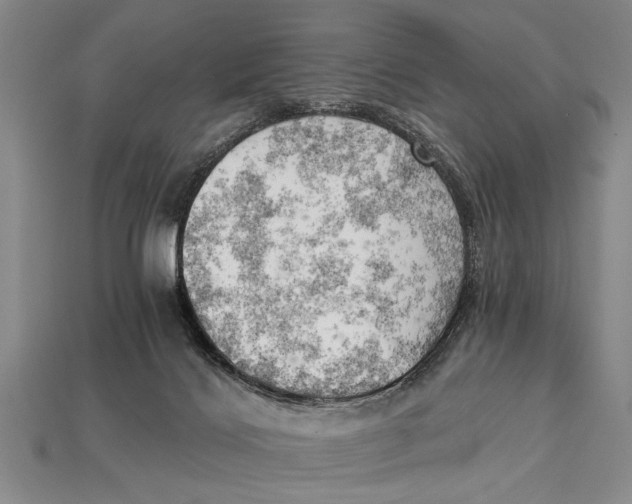 X0000114430028200911131341