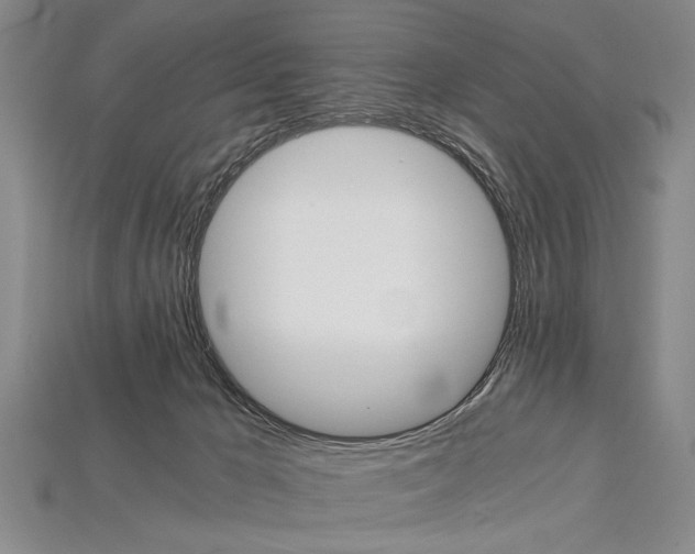 X0000114430029200911131341