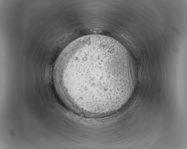 X0000114430030200911131341