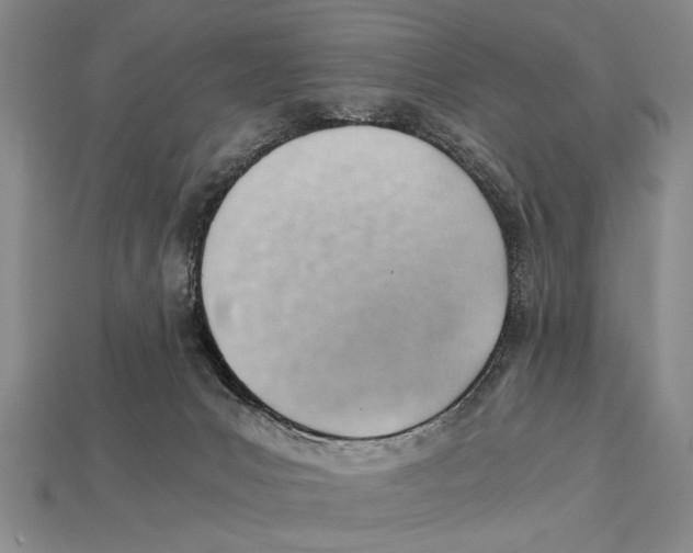 X0000114430031200911131341