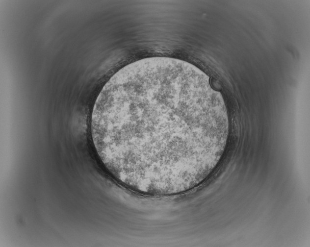 X0000114430032200911131341