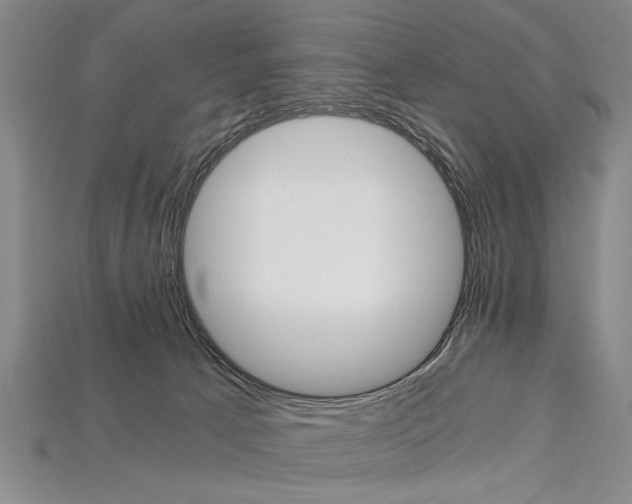 X0000114430033200911131341