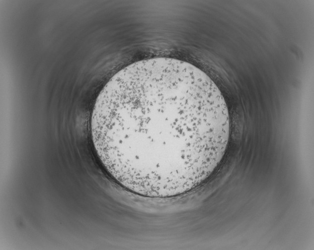 X0000114430034200911131341
