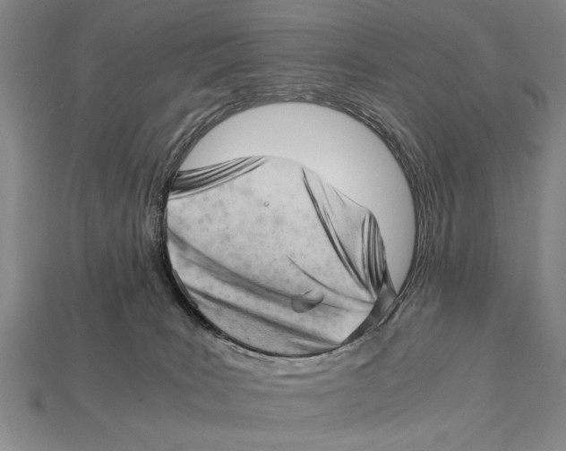 X0000114430035200911131341