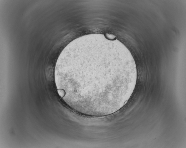 X0000114430036200911131341