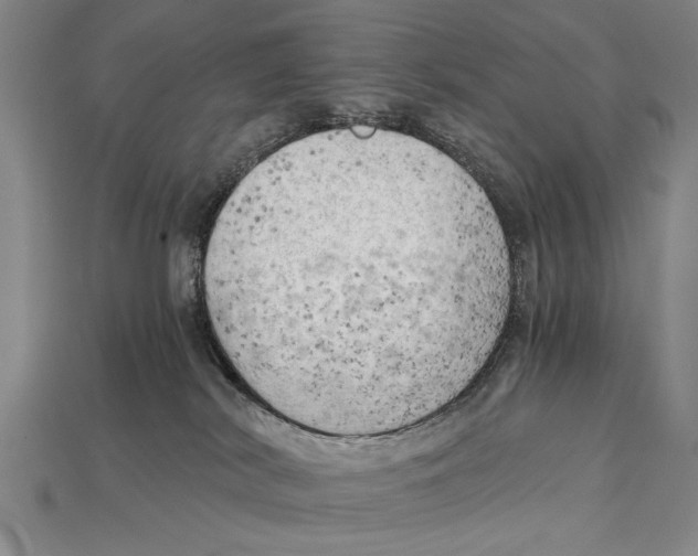 X0000114430038200911131341