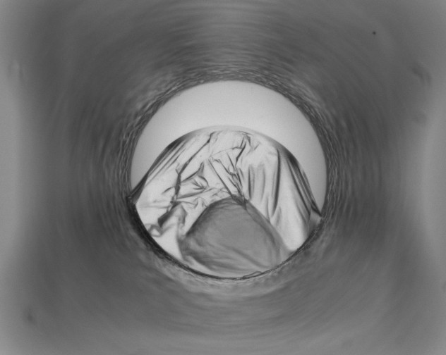 X0000114430039200911131341