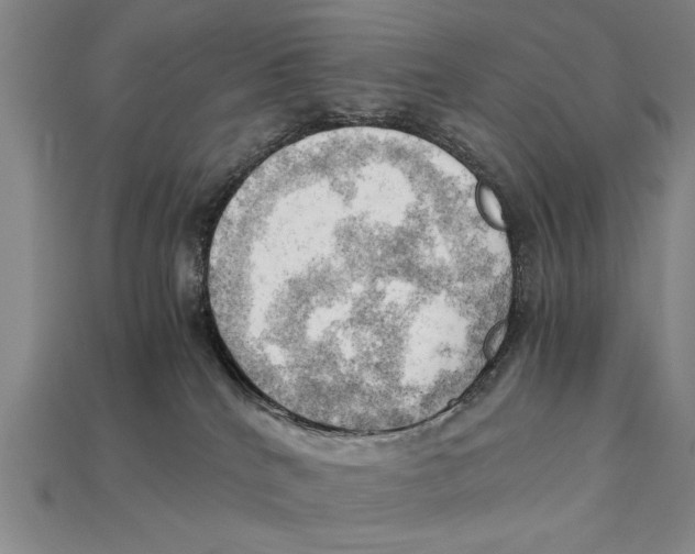 X0000114430040200911131341