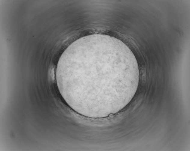 X0000114430042200911131341