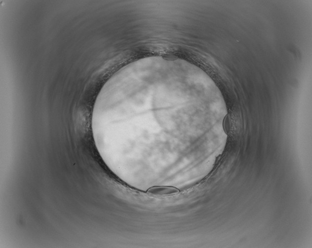 X0000114430043200911131341