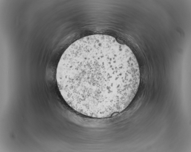 X0000114430044200911131341