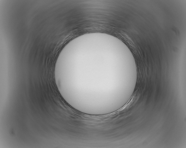 X0000114430045200911131341