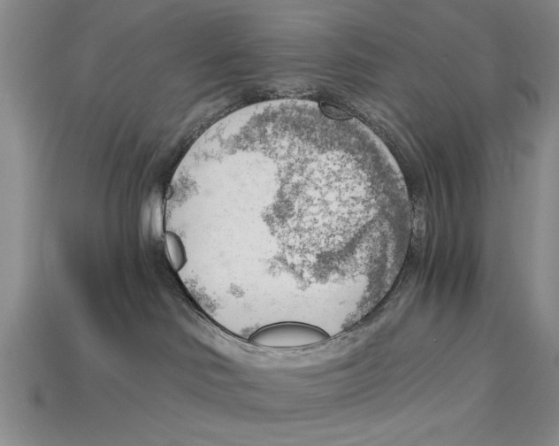 X0000114430046200911131341